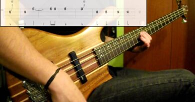 Tool - The Pot (Bass Cover) (Play Along Tabs In Video)