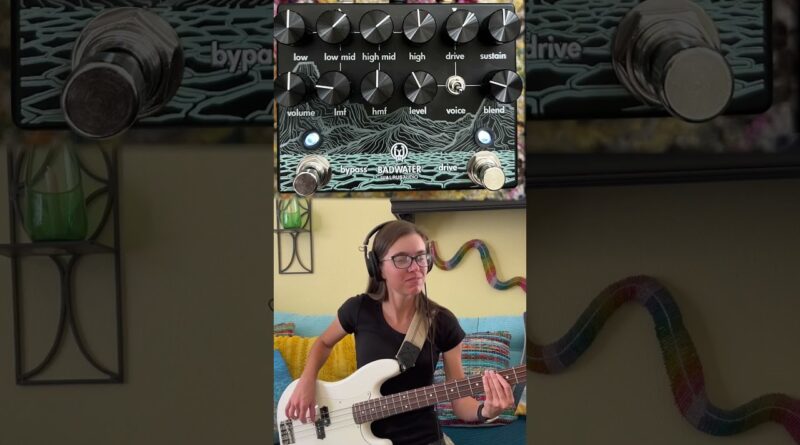 Walrus Audio Bass Pre-Amp & DI! BASS TONE FOR DAYS. ???????? #bassguitar #bassist #bassgear