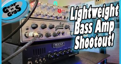 Which of the Lightweight Bass Heads is the best?