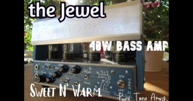 the Jewel bass Amp - 5 string bass