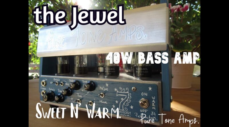 the Jewel bass Amp - 5 string bass