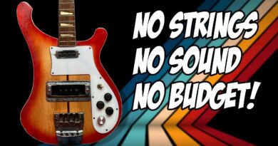 1970's Rickenbacker copy has been in storage for 40 years. Will it work?