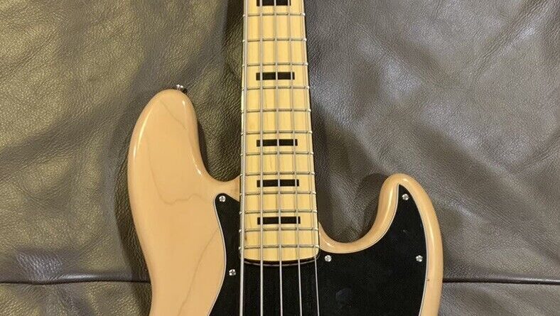 5 String Bass Guitar ( Fender Squier V Modified)