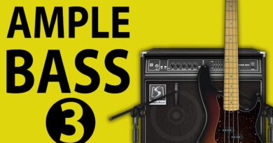 Ample Sound Bass 3 Review - With Amp Sim!