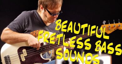 Beautiful Fretless Bass Sounds