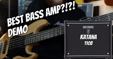 Boss Katana 110b BASS AMP Demo | Rock Metal & Clean Tones