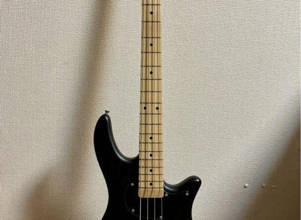 Electric Bass Guitar Edwards by ESP E-BB-145 Satin Burner Black & Gig Bag