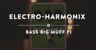 Electro-Harmonix Bass Big Muff Pi | Reverb Demo Video