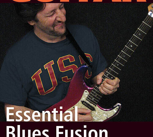 Essential Blues Fusion Effortless Guitar Learn Play Lick Library Video DVD