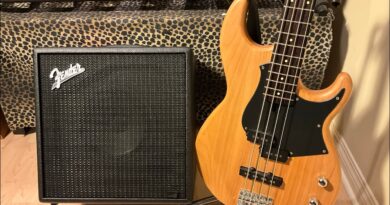 Fender Rumble LT25  All Sounds / No Talking