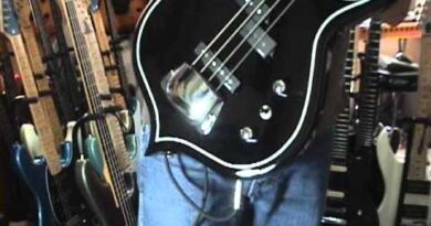 Gene Simmons Cort Punisher Bass Guitar Review By Scott Grove