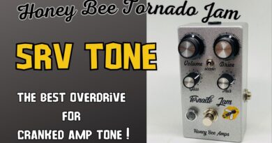 Honey Bee Tornado Jam : The Best Overdrive for cranked amp tone !