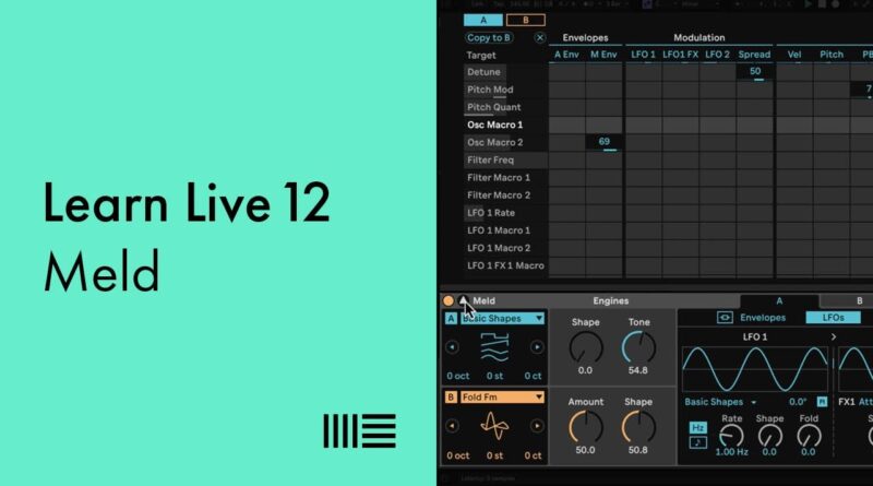 Learn Live 12: Meld