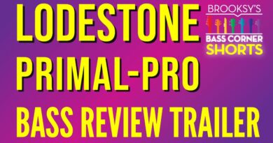 Lodestone Bass Review Trailer #shorts #bass #lodestonebass