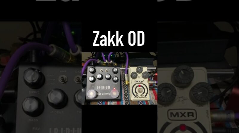 [Short Pedal Demo] MXR Zakk Wylde Overdrive or Boss SD-1w #shorts