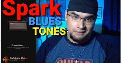 "Spark Amp 40": The Blues Tones