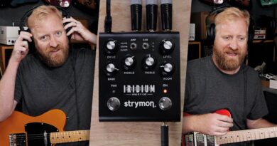 Strymon I R I D I U M - Fender/Vox/Marshall amp & cab impulse responses - GOOD TONES/BAD PLAYING