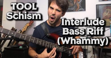 Tool Bass Tone - Schism Interlude (Whammy Pedal)