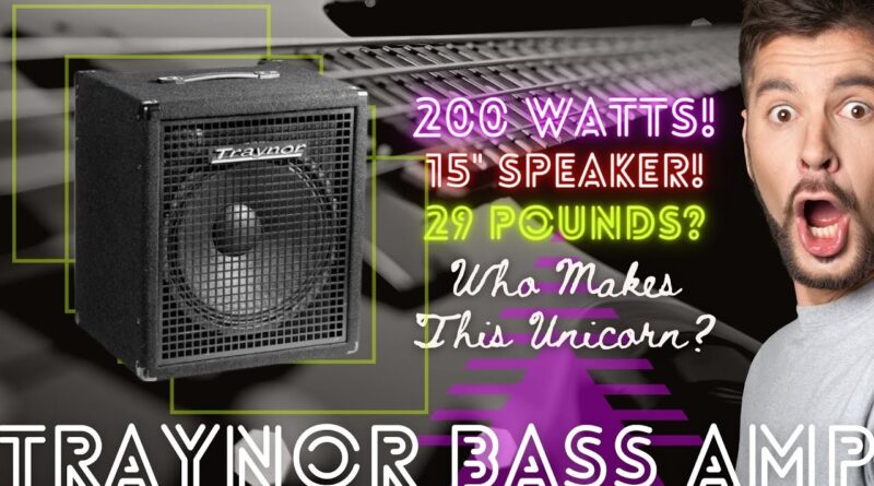 Traynor SmallBlock 115 Bass Amp