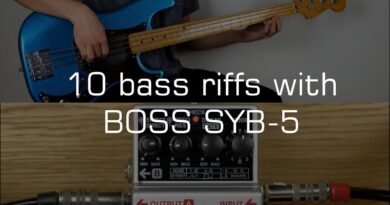 10 bass riffs with BOSS SYB-5