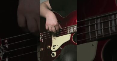 Adding compression to your octave pedal bass sound!