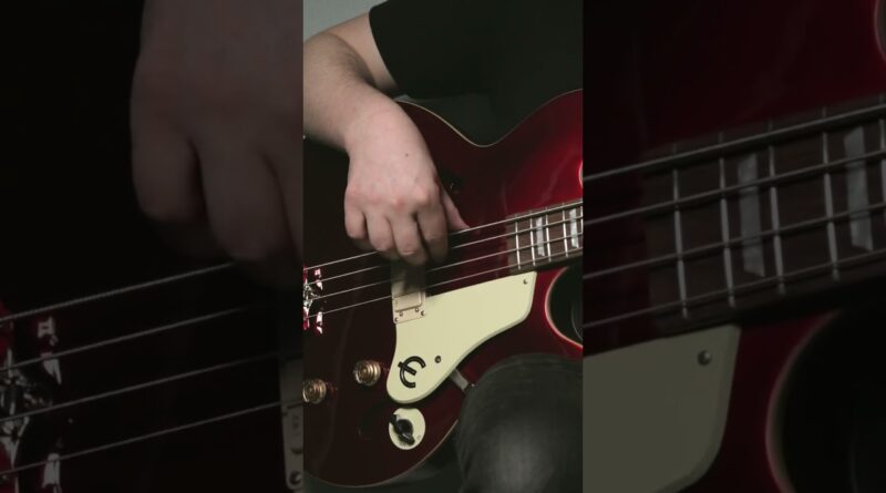 Adding compression to your octave pedal bass sound!