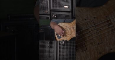 Amazing bass tone! Matt Ramsey playing through the Legacy 800 and NEO IV 410...