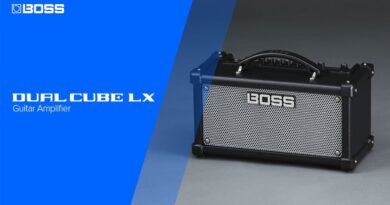 BOSS DUAL CUBE LX Guitar Amplifier | CUBE Amp Series