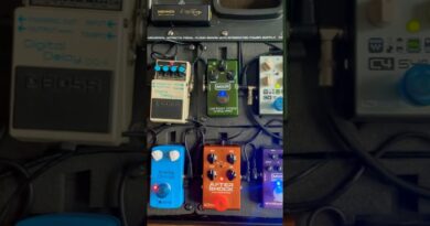 Bass Rig Rundown! ????