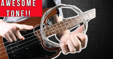 Best Bass Strings For Warm Sound - WATCH BEFORE YOU BUY!