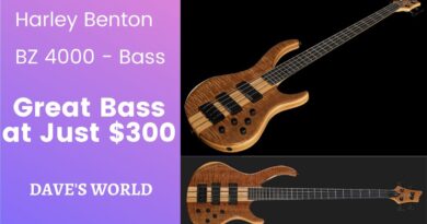 Best Bass around for $300.00 US - Harley Benton BZ  4000 Bass Review