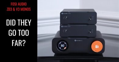 DAC/PRE/MONOBLOCKS UNDER £500 | Fosi Audio ZD3 & V3 Monos