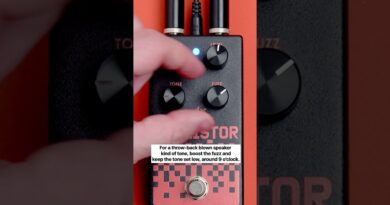 Fuzzistor Bass Fuzz