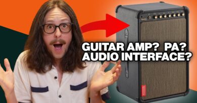 Guitar Amp, PA, & Audio Interface + | Positive Grid Spark Live