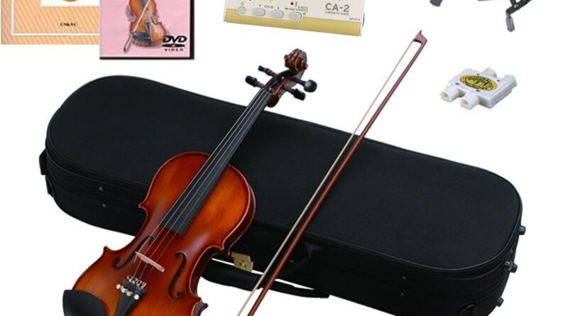 Hallstatt Violin 10-piece set with instruction book & DVD V-22