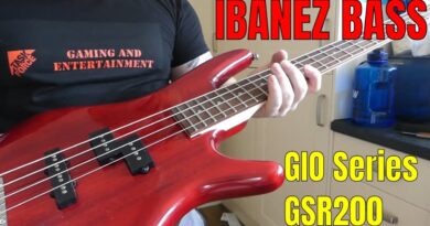 IBANEZ GIO Series GSR200-TR Electric Bass Guitar - UNBOXING & SPECS (Best Budget Bass You Can Get)