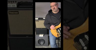 Inexpensive guitar cabinet #shorts #smallguitaramps