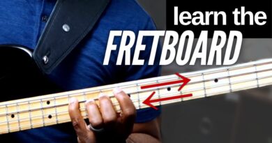 Learn the Bass Guitar Fretboard (with 2 exercises to help)