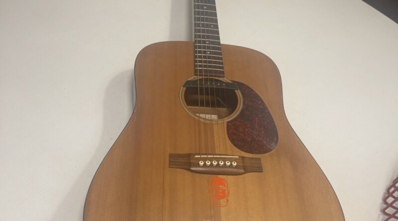 Martin DM Mahogany Dreadnought Acoustic Guitar + Case