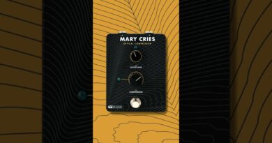 Mary Cries: Slap Bass Compression | Tone Sample | PRS Guitars #shorts