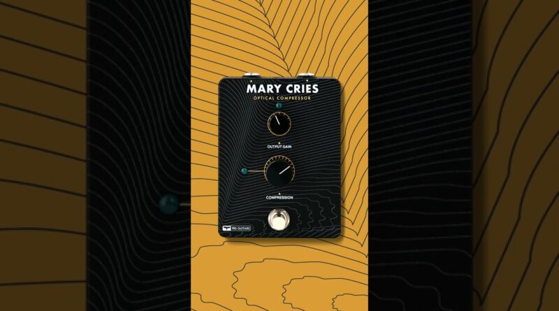 Mary Cries: Slap Bass Compression | Tone Sample | PRS Guitars #shorts