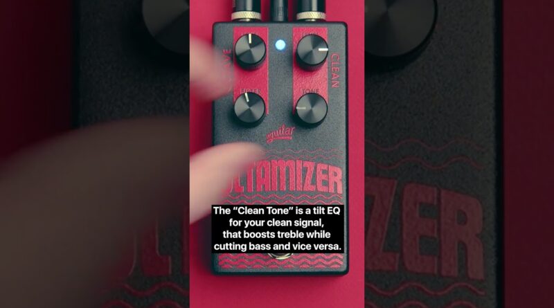 Octamizer Analog Bass Octave