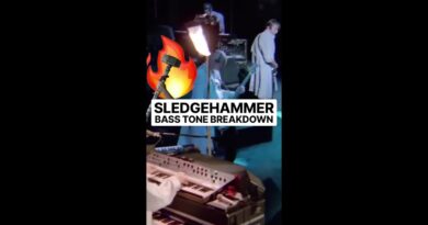 SLEDGEHAMMER | BASS TONE BREAKDOWN ⚒️????