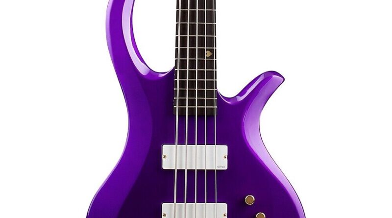 Schecter Guitar Research FreeZesicle-5 5-String Electric Bass Freeze Purple