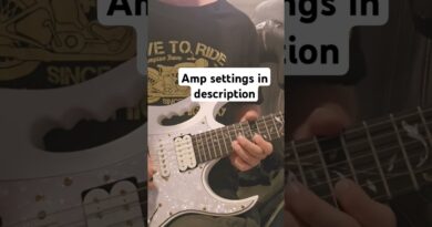 Scorpions - Still loving you outro solo + amp tone settings