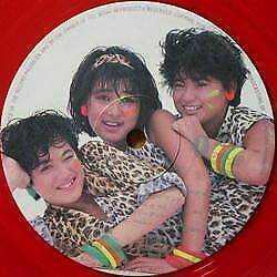 Shohjo-tai Adventure Island Picture Vinyl Idol City Pop Nippon Phonogram 1985