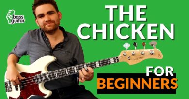 The Chicken for 'Beginners' - Jaco Pastorius Inspired Bass Lesson