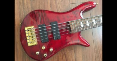 UNBIASED GEAR REVIEW - Spector Euro 5LX 5-string bass