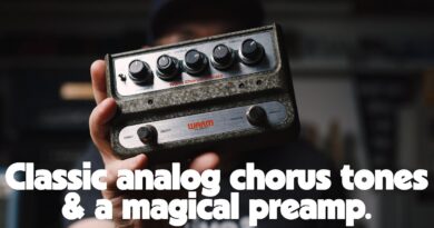 WARM Audio WA-C1 | Classic analog chorus tones and a MAGICAL preamp!