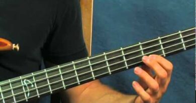 easy bass guitar song lesson the pink panther theme